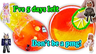 Relaxing Slime Storytime Roblox | If you only had 2 days left to live, what would you do?