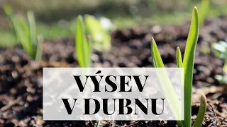 Výsev a výsadba zeleniny v dubnu - 60+ tipů