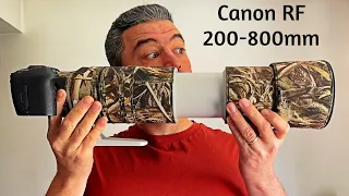 Canon RF 200-800mm lens review, first impressions after a month, best budget super telephoto? 4K