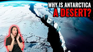 What Scientists Discovered About Antarctica SHOCKED EVERYONE!