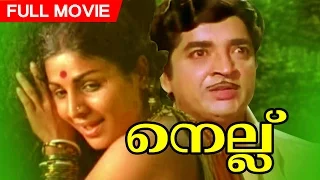 Malayalam Superhit Movie | Nellu | Classic film  | Ft.Prem Nazir |  Jayabharathi  | Others