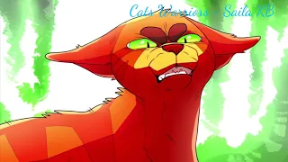 🔥Cats Warriors~Firestar~Огнезвёзд~Дай Огня🔥