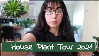 House Plant Tour 2021