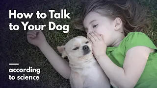 How to Talk to Your Dog, According to Science