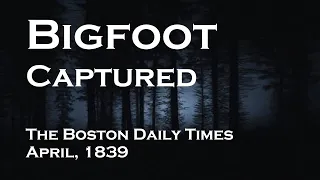 Bigfoot CAPTURED. Marathon_54