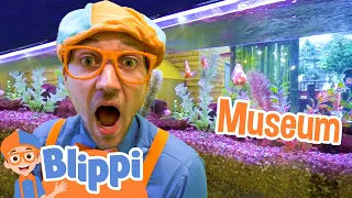 Blippi Visits Seattle's Children's Museum | Educational Videos For Kids | Blippi Toys