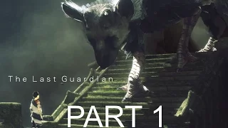 The Last Guardian Gameplay Walkthrough Part 1 Escape The Cave