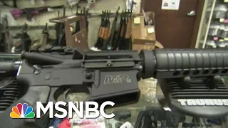 Here’s Proof That AR-15s Are Weapons Of War | The Beat With Ari Melber | MSNBC