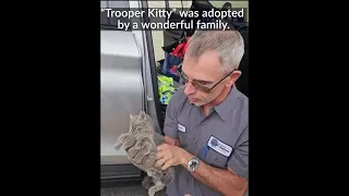 WATCH: Nevada state trooper rescues kitten from Las Vegas highway