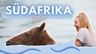 POLOCROSSE & SCHWIMMEN mit Pferden in Südafrika