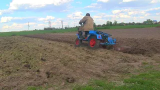 Скашиваю и запахиваю озимый рапс. Весна 2024