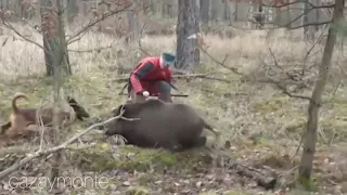 Brutal ataque de jabalí a un cazador