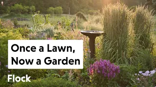 BORING LAWN Turned to BEAUTIFUL WILDLIFE, HERB & POLLINATOR GARDENS — Ep. 183