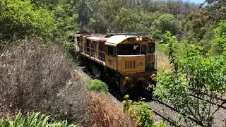 Aurizon Cattle Train @ Spring Bluff Station