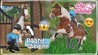 IK STEEL EEN PAARD + VECHTEN MET EEN VEULEN! 😳 - Update | Star Stable Online | Daphne draaft door