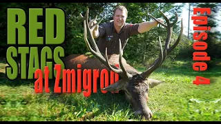 BIG MEDAL RED DEER IN THE RUT - Exciting deer hunt - World Hunter Episode 4