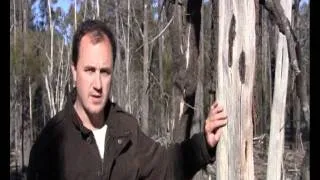 Unlined coal seam gas water pits and poisoned Pilliga forest - 21 July 2011