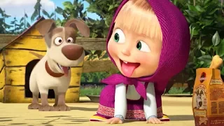 Маша та Ведмідь: Є контакт! 👽 (Дресирування) / Masha and the Bear