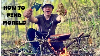 FORAGING AND COOKING WILD MOREL MUSHROOMS!