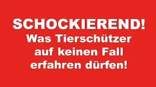 Schockierend! Was Tierschützer auf keinen Fall erfahren dürfen!