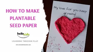 HOW TO MAKE SEED PAPER - Plantable seed paper hearts
