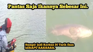 🔴#VIRAL||Pemancing Strike Ikan kERAPU RAKSASA di Muara||Hampir Tercebur.