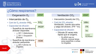 Principios de Ventilacion Mecanica: Volumen Control Asistido Controlada Parametrización y Curvas.