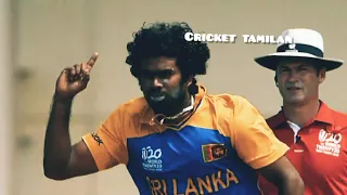 Top 10 Malinga 39 s Best Yorkers in Cricket History Ever Toe Crushing Yorkers Destructive Yorkers