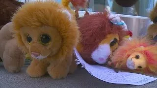 Hundreds Protest Lion's Death At Dentist's Office