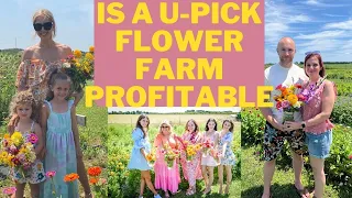 What is a Upick Flower Farm, Is it Profitable?