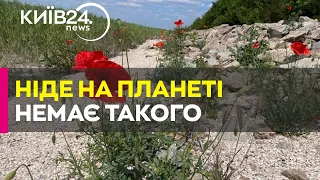 Який вигляд має дно Каховського водосховища за рік після підриву