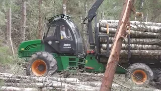Форвардер Амкодор 2661-01 в работе. Сбор и перевозка леса. Лес в Беларуси.