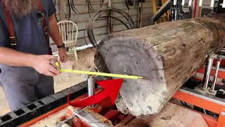 What Happens When A Dead Walnut Tree Is Put On A Sawmill?