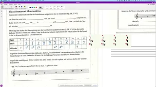 Tutorial Bluesschema