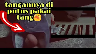 D1BVNVH DAN DIJADIKAN P4TUNG L1LIN HIDVP-HIDUP - alur cerita film H0US3 0F W4X