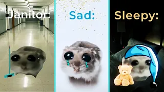 Sad Hamster Meme (Fresh Version)