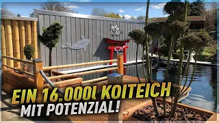 Ein 16.000 Liter KOITEICH mit POTENZIAL! ALLES selbst gebaut!