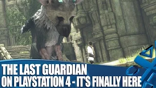 The Last Guardian - It's Finally Here!