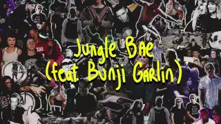 O.T. Genasis vs Skrillex & Diplo - Coco Jungle bae (Leap Mashup)