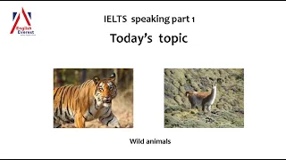 Speaking part 1   Wild Animals