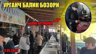 Урганч балик бозори нархлари  Urganch baliq bozori #baliq_bozor