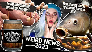 Fungal Infection Runs Riot in Tiny Town | Carp Destined For Dinner Re-Animates! | Weird News 2023