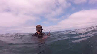 SoCal Lobster Freediving 2017