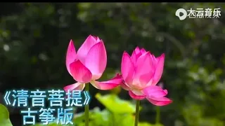 古筝版《清音菩提》纯音乐，清心宁神，放松舒缓，太极养生。