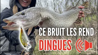 Un leurre BRUYANT pour pêcher le BROCHET en ÉTANG ! 🔊