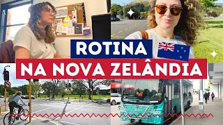Rotina na Nova Zelândia - Como é morar e trabalhar na Nova Zelandia