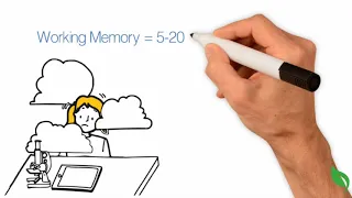 How Does Human Memory Work?