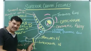 Superior Orbital Fissures