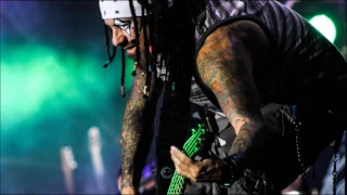 Korn - Got The Life (Live) ...awesome