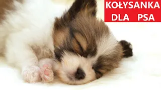 KOŁYSANKA DLA PSA - Muzyka Relaksacyjna Dla Psów - GŁĘBOKI SEN 💤